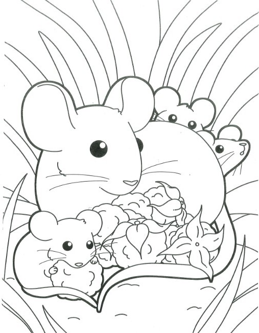 Colouring Pages
